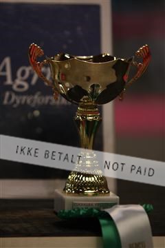133496_ms_02_IMG_7457.JPG