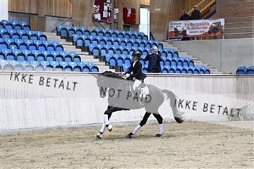 182241_kbb_01_Z094066.JPG