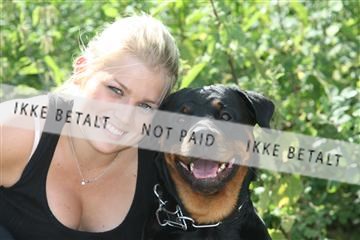 130370_se_02_IMG_5607.JPG