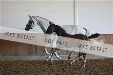 181804_mlm_02_R62_0026.JPG