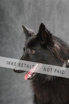 130054_le_ 01_0113.JPG