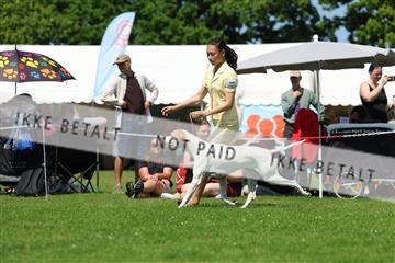 181564_rin_02_R62_2327.JPG
