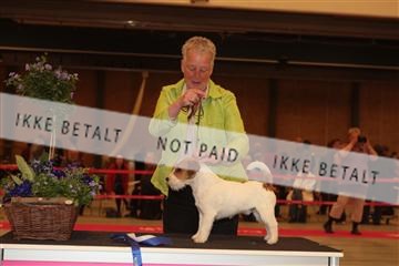 124188 _tl_02_IMG_9647.JPG