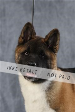 128239_le_ 06_0041.JPG