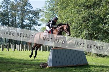 2019 Copenhagen Eventing Aminda Ingulfson Joystick 163761_KNF_01_KEE_119.jpg