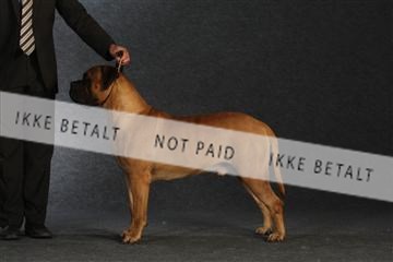 132082_le_ 01_IMG_1596.JPG