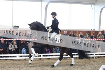 174363_kbb_01_R6II8583.JPG
