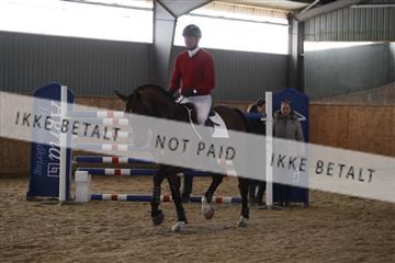 139206_kl_1_8M1Q5263.JPG