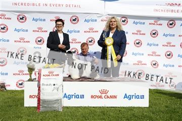 181564_kar_01__62_8423.JPG