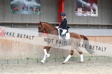 181867_mtp_01_R62_4134.JPG