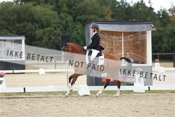 181894_mtp_03_R62_2921.JPG