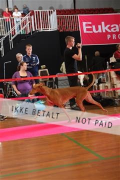 6068_ma_05_IMG_5950.JPG