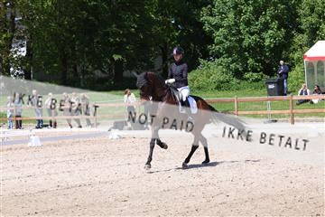 181449_bc_01R62_5541.JPG