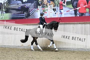 182241_kbb_01_Z095239.JPG