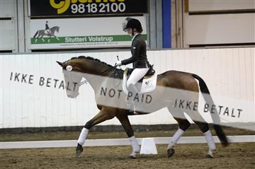 141472_abo_01__AB15298.JPG