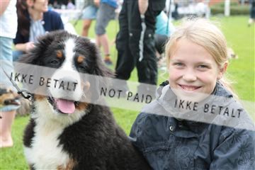 130370_tl_01_IMG_7101.JPG
