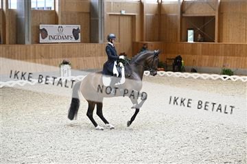 182176_kbb_01_Z094116.JPG