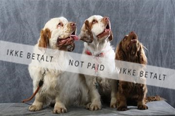 129608_le_ 01_0721.JPG