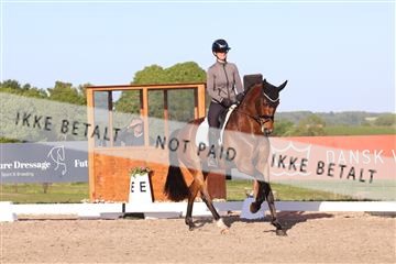 181449_bc_01R62_6483.JPG