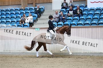 181887_mtp_04_R62_8350.JPG