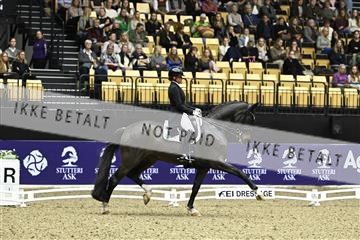 182194_kbb_03_Z091551.JPG