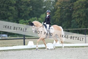 181894_mtp_04_R62_4041.JPG