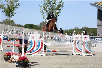 181436_avh_03_4814.JPG