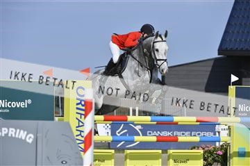 139644_abo_02__AB14737.JPG