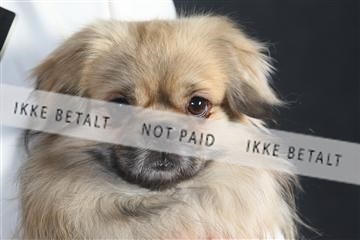 132082_le_ 01_IMG_1485.JPG