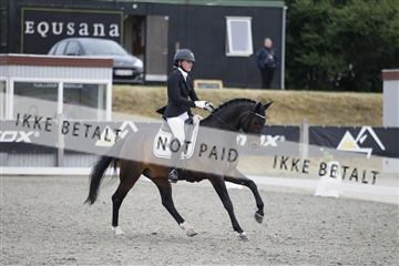 166078_rhj_01__J7R4681.JPG