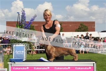 130370_se_03_IMG_7714.JPG