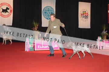 126827_tl_02_IMG_2966.JPG