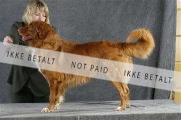 5493_sme _02__MG_9721.JPG