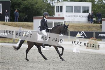 166078_rhj_01__J7R4000.JPG