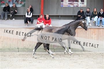 181868_mtp_03_R62_5634.JPG