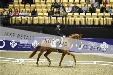 182194_kbb_01_Z096686.JPG