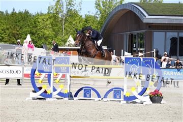 181436_avh_02_3932.JPG