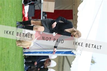 182009_rin_01_R62_7119.JPG