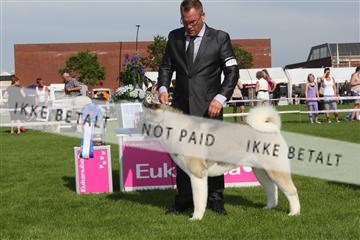 130370_se_02_IMG_6688.JPG