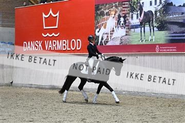 182241_kbb_01_Z093753.JPG