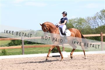 181449_bc_01R62_5853.JPG