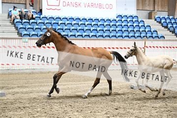181754_kbb_01_Z093346.JPG