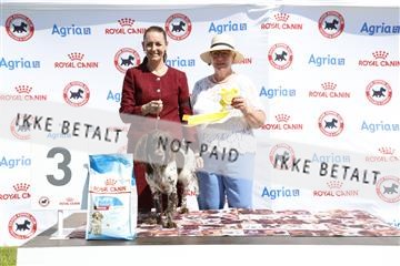 181564_kar_01__62_7900.JPG