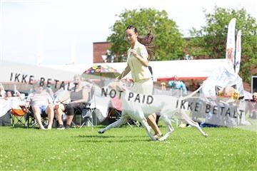 181564_rin_02_R62_1875.JPG