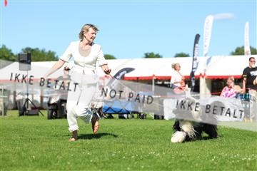 181564_rin_03_R62_9656.JPG