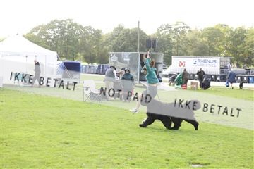 182009_kar_01__62_8083.JPG