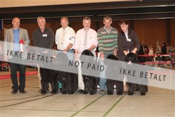 124188 _tl_02_IMG_9585.JPG