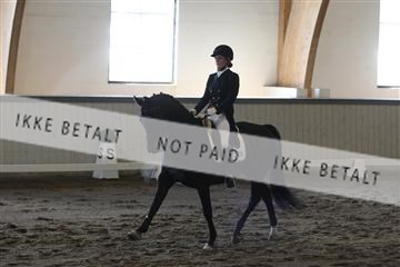 139267_kl_1_8M1Q6868.JPG