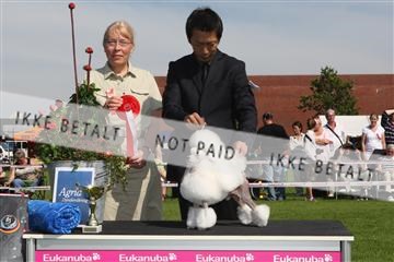 130370_se_02_IMG_6381.JPG
