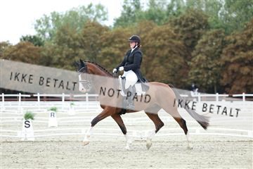 181923_mtp_04_R62_8443.JPG